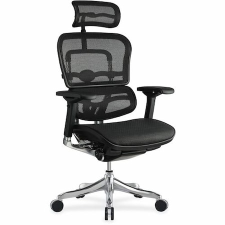 Eurotech - The Raynor Group Elite, w/Headrest, Mesh, 26-2/5inx26inx50-4/5in, BK EUTME22ERGLT